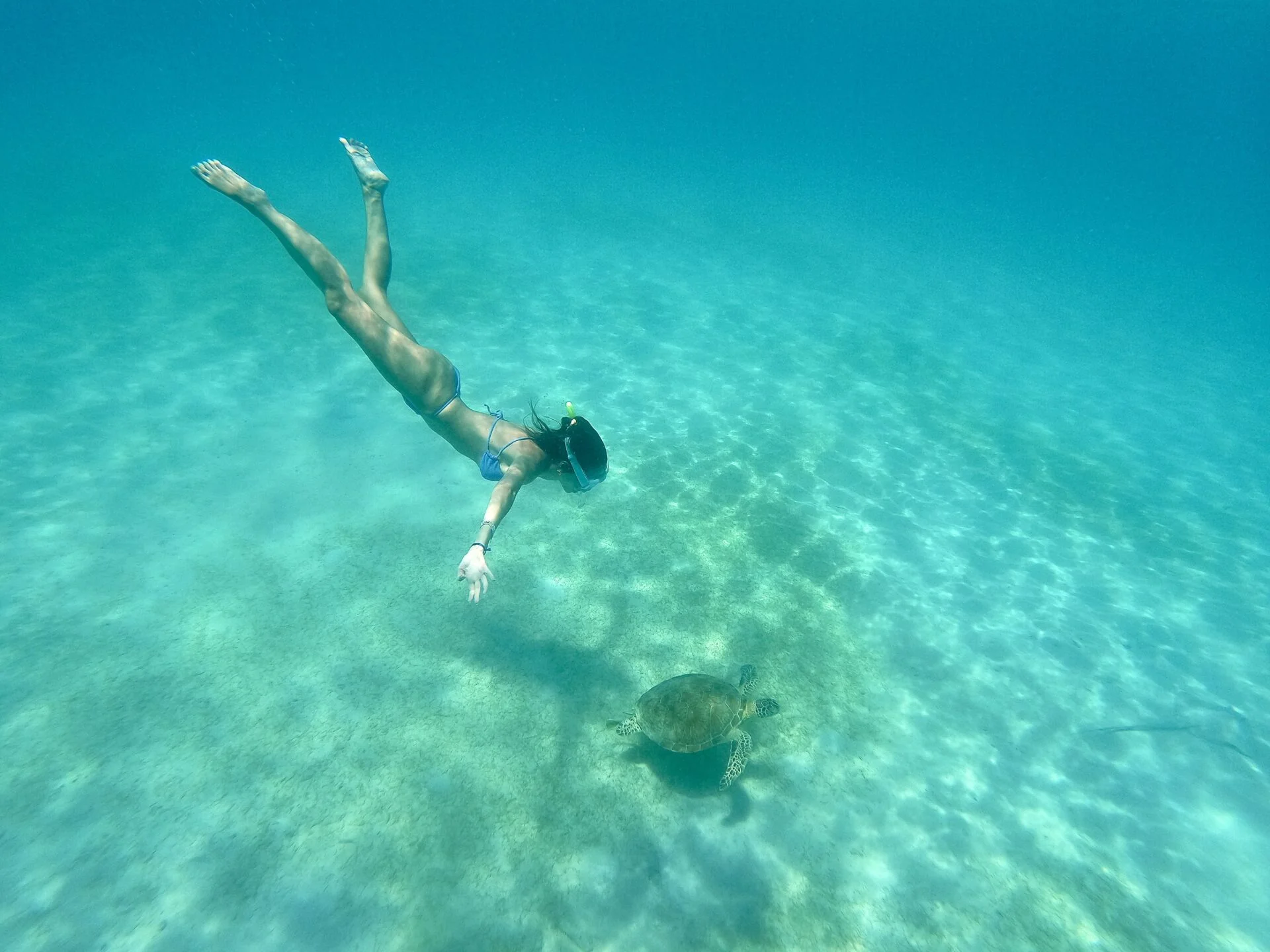 Snorkelling Snorkelling