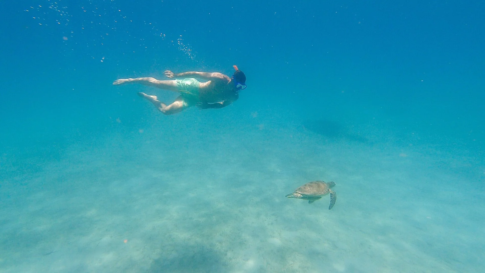 Snorkelling Snorkelling