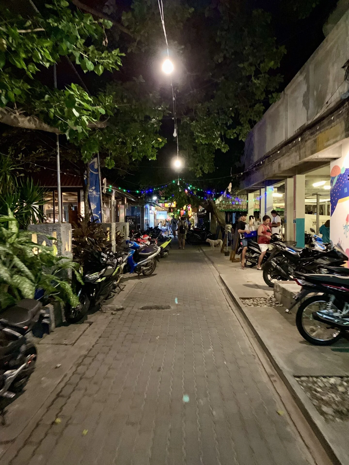 Calles Koh Tao Calles Koh Tao