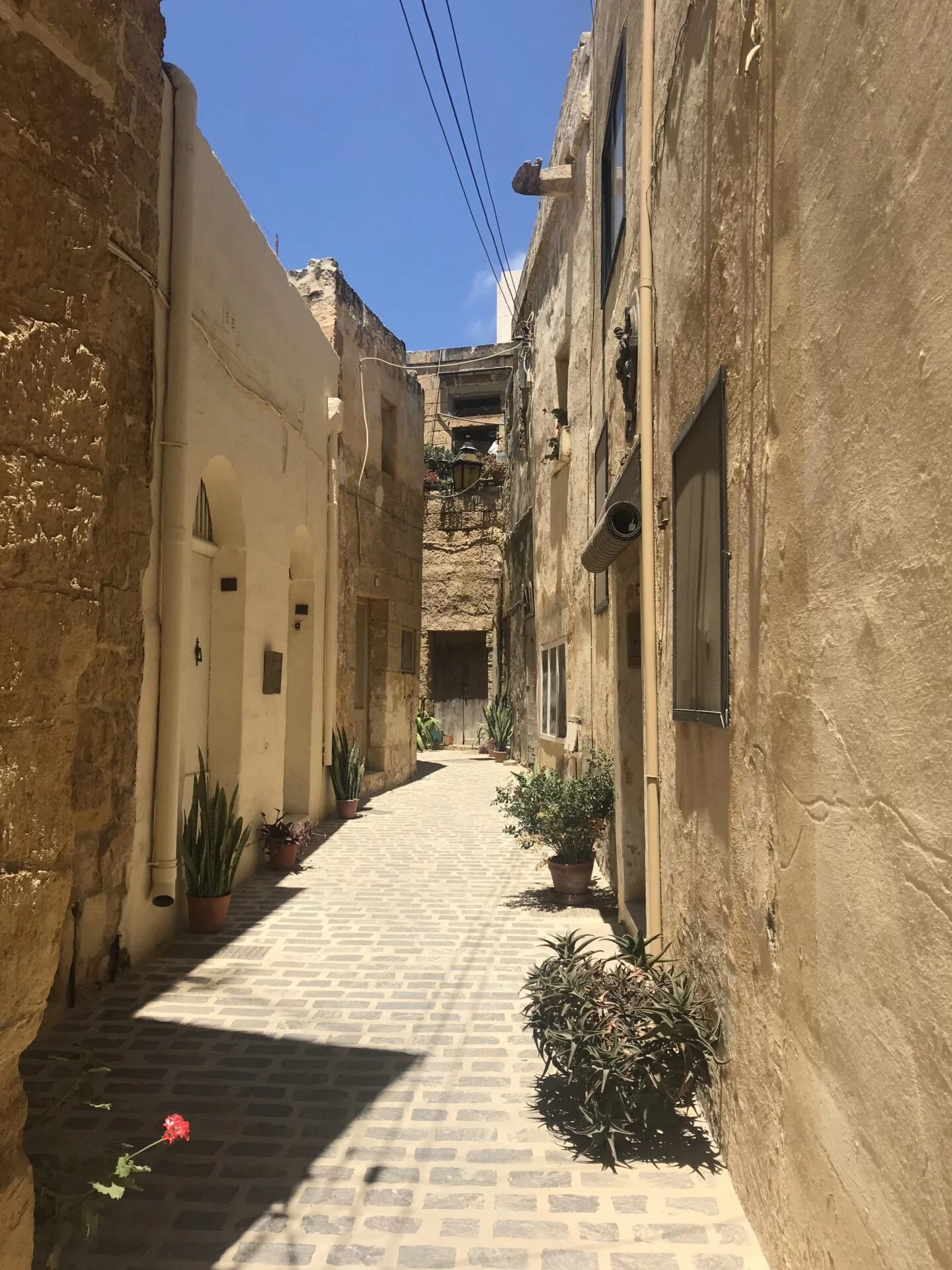 Gozo