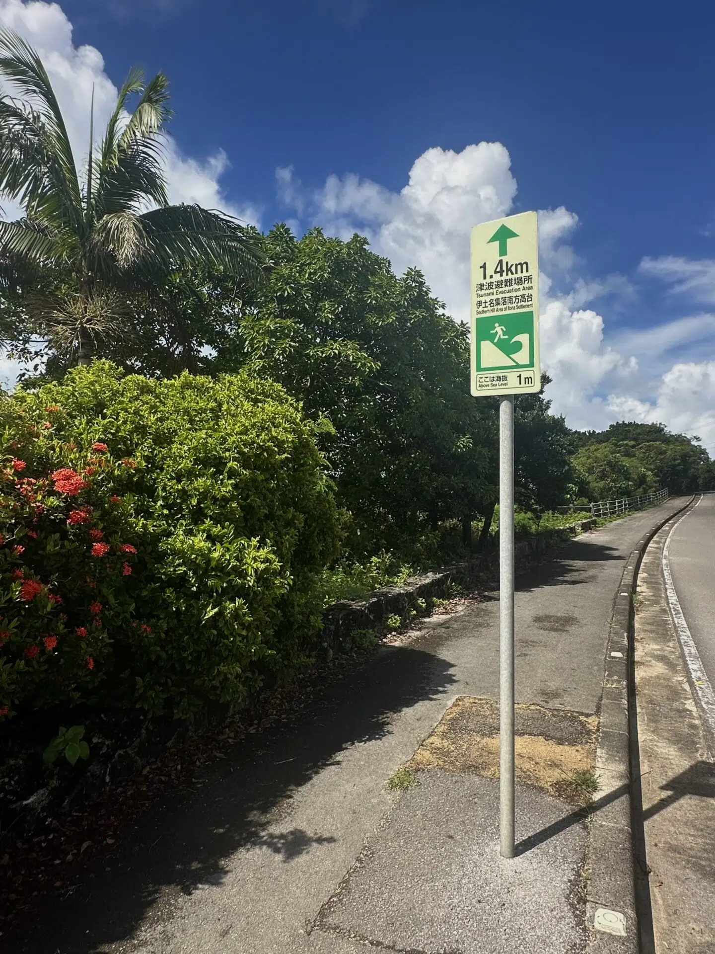 Ruta Okinawa 5 días