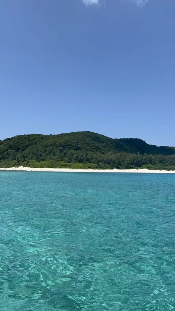 Amuro, Japón