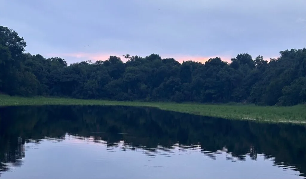 Amazonas en 2 días