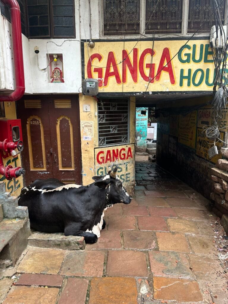 Varanasi en 2 días